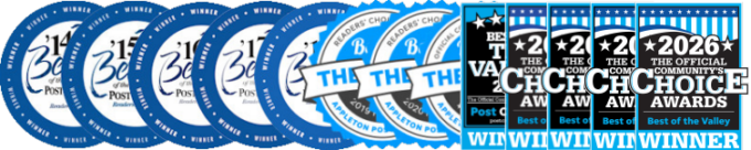 Best of the Valley Winner Badge